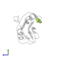 OXALIC ACID in PDB entry 1o4n, assembly 1, side view.