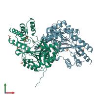 PDB entry 1o4s coloured by chain, front view.