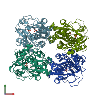 PDB entry 1o58 coloured by chain, front view.