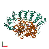 PDB entry 1o5m coloured by chain, front view.