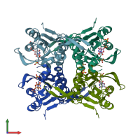 PDB entry 1o5o coloured by chain, front view.