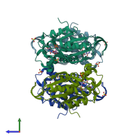 PDB entry 1o5o coloured by chain, side view.