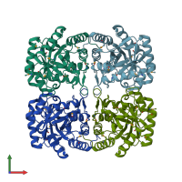 PDB entry 1o60 coloured by chain, front view.