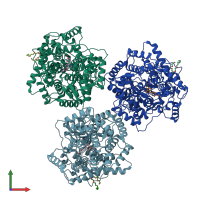 PDB entry 1o6h coloured by chain, front view.