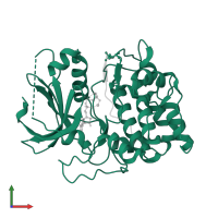 RAC-beta serine/threonine-protein kinase in PDB entry 1o6l, assembly 1, front view.