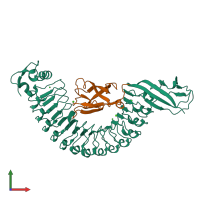 PDB entry 1o6s coloured by chain, front view.