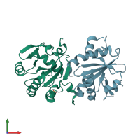 3D model of 1o81 from PDBe