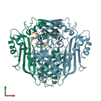 PDB entry 1o92 coloured by chain, front view.