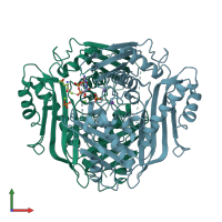PDB entry 1o93 coloured by chain, front view.