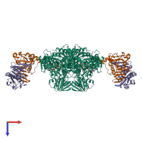 Hetero hexameric assembly 1 of PDB entry 1o95 coloured by chemically distinct molecules, top view.