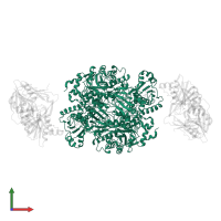 Trimethylamine dehydrogenase in PDB entry 1o95, assembly 1, front view.