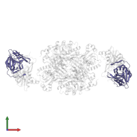 Electron transfer flavoprotein subunit alpha in PDB entry 1o95, assembly 1, front view.