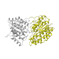 The deposited structure of PDB entry 1o98 contains 1 copy of SCOP domain 64162 (2,3-Bisphosphoglycerate-independent phosphoglycerate mutase, catalytic domain) in 2,3-bisphosphoglycerate-independent phosphoglycerate mutase. Showing 1 copy in chain A.