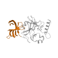 The deposited structure of PDB entry 1o9s contains 2 copies of SCOP domain 82186 (Histone H3 K4-specific methyltransferase SET7/9 N-terminal domain) in Histone-lysine N-methyltransferase SETD7. Showing 1 copy in chain A.