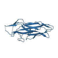 The deposited structure of PDB entry 1o9z contains 1 copy of Pfam domain PF09222 (Fimbrial adhesin F17-AG, lectin domain) in F17a-G fimbrial adhesin. Showing 1 copy in chain A.