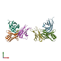 PDB entry 1oax coloured by chain, front view.