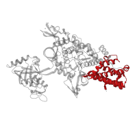 The deposited structure of PDB entry 1obc contains 1 copy of CATH domain 1.10.730.10 (Isoleucyl-tRNA Synthetase; Domain 1) in Leucine--tRNA ligase. Showing 1 copy in chain A.