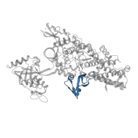 The deposited structure of PDB entry 1obc contains 1 copy of CATH domain 2.30.210.10 (Leucyl-tRNA synthetase, domain 3) in Leucine--tRNA ligase. Showing 1 copy in chain A.