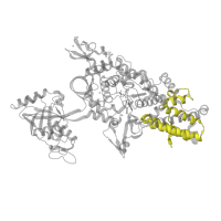 The deposited structure of PDB entry 1obc contains 1 copy of Pfam domain PF08264 (Anticodon-binding domain of tRNA ligase) in Leucine--tRNA ligase. Showing 1 copy in chain A.