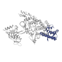 The deposited structure of PDB entry 1obc contains 1 copy of SCOP domain 47324 (Anticodon-binding domain of a subclass of class I aminoacyl-tRNA synthetases) in Leucine--tRNA ligase. Showing 1 copy in chain A.