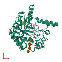 PDB entry 1oc5 coloured by chain, front view.