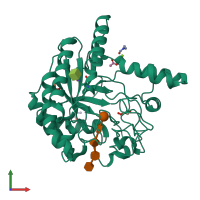 PDB entry 1oc7 coloured by chain, front view.