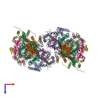 Hetero 26-meric assembly 1 of PDB entry 1occ coloured by chemically distinct molecules, top view.