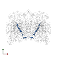 Cytochrome c oxidase subunit 7A1, mitochondrial in PDB entry 1occ, assembly 1, front view.