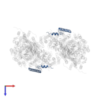 Cytochrome c oxidase subunit 7A1, mitochondrial in PDB entry 1occ, assembly 1, top view.