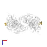 Cytochrome c oxidase subunit 7B, mitochondrial in PDB entry 1occ, assembly 1, top view.