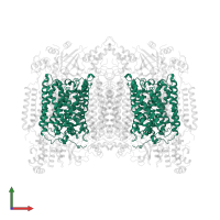 Cytochrome c oxidase subunit 1 in PDB entry 1occ, assembly 1, front view.