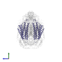 Cytochrome c oxidase subunit 3 in PDB entry 1occ, assembly 1, side view.