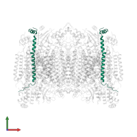 Cytochrome c oxidase subunit 6C in PDB entry 1occ, assembly 1, front view.