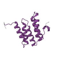 The deposited structure of PDB entry 1oco contains 2 copies of Pfam domain PF02284 (Cytochrome c oxidase subunit Va) in Cytochrome c oxidase subunit 5A, mitochondrial. Showing 1 copy in chain E.