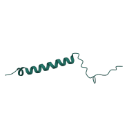 The deposited structure of PDB entry 1ocr contains 2 copies of SCOP domain 81422 (Mitochondrial cytochrome c oxidase subunit VIIb) in Cytochrome c oxidase subunit 7B, mitochondrial. Showing 1 copy in chain K.