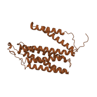 The deposited structure of PDB entry 1ocr contains 2 copies of SCOP domain 81451 (Cytochrome c oxidase subunit III-like) in Cytochrome c oxidase subunit 3. Showing 1 copy in chain C.