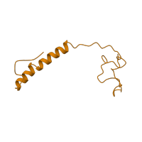 The deposited structure of PDB entry 1ocr contains 2 copies of SCOP domain 81410 (Mitochondrial cytochrome c oxidase subunit VIa) in Cytochrome c oxidase subunit 6A2, mitochondrial. Showing 1 copy in chain G.