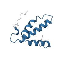 The deposited structure of PDB entry 1ocr contains 2 copies of Pfam domain PF02297 (Cytochrome oxidase c subunit VIb) in Cytochrome c oxidase subunit 6B1. Showing 1 copy in chain H.