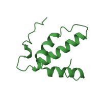 The deposited structure of PDB entry 1ocr contains 2 copies of SCOP domain 47695 (Cytochrome c oxidase subunit h) in Cytochrome c oxidase subunit 6B1. Showing 1 copy in chain H.