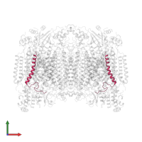 Cytochrome c oxidase subunit 7C, mitochondrial in PDB entry 1ocr, assembly 1, front view.