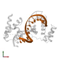 DNA (5'-D(*AP*CP*CP*TP*TP*AP*TP*TP*TP*GP*CP*AP*TP*AP*C)-3') in PDB entry 1oct, assembly 1, front view.