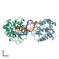 PDB entry 1oe6 coloured by chain, front view.