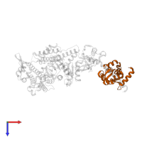 Myosin light chain 6B in PDB entry 1oe9, assembly 1, top view.