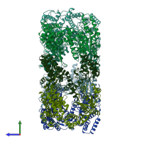 PDB entry 1oel coloured by chain, side view.