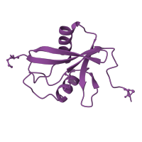 The deposited structure of PDB entry 1oey contains 4 copies of CATH domain 3.10.20.90 (Ubiquitin-like (UB roll)) in Neutrophil cytosol factor 4. Showing 1 copy in chain E [auth J].