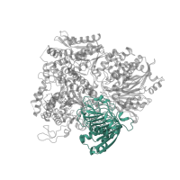 The deposited structure of PDB entry 1ofd contains 2 copies of SCOP domain 69337 (Alpha subunit of glutamate synthase, C-terminal domain) in Ferredoxin-dependent glutamate synthase 2. Showing 1 copy in chain A.