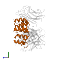 Endo-1,4-beta-xylanase Y in PDB entry 1ohz, assembly 1, side view.