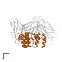 Endo-1,4-beta-xylanase Y in PDB entry 1ohz, assembly 1, top view.