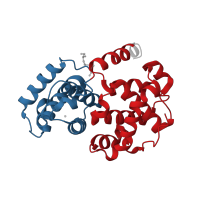The deposited structure of PDB entry 1oi9 contains 4 copies of CATH domain 1.10.472.10 (Cyclin A; domain 1) in Cyclin-A2. Showing 2 copies in chain B.