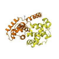 The deposited structure of PDB entry 1oi9 contains 4 copies of SCOP domain 47955 (Cyclin) in Cyclin-A2. Showing 2 copies in chain B.